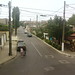 Theresa Weiss Photo 9