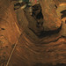 Bob Rappel Photo 7