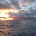 Gusta Robinson Photo 6