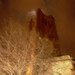 Edgar Tuttle Photo 8