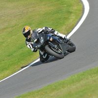 David Harness Photo 19