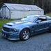 Michael Scheetz Photo 15
