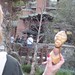 Diane Hunter Photo 3