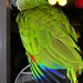 Kelli Small Photo 16