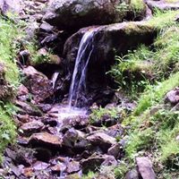 Sandra Parr Photo 20