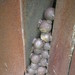 Alan Waters Photo 38