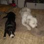 Brian Hudgins Photo 17