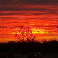 Jeffrey Mills Photo 35
