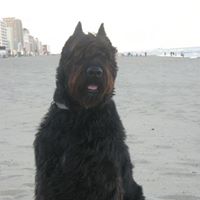 Barbara Mccormack Photo 8