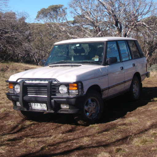 Stephen Lester Photo 7
