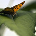 Mark Beech Photo 4