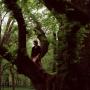 Katherine Blake Photo 16