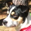 Jeffrey Bower Photo 9