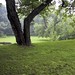 Lawrence Locke Photo 17
