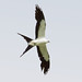 Michelle Swallow Photo 20