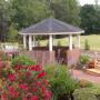 Susan Bird Photo 16