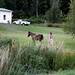 Amy Neighbors Photo 10