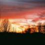 Megan Bradley Photo 41