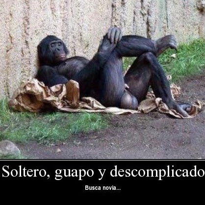 Juan Lizardo Photo 6