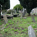Mary Kavanagh Photo 20