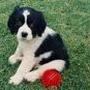Emily Shaver Photo 15