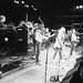 Roger Herbert Photo 34