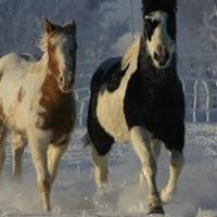 Gayle Madden Photo 15