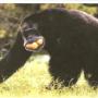 Richard Evers Photo 20