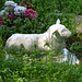 Arnold Lamb Photo 11