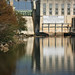 Tom Miller Photo 46