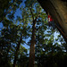 David O'Donnell Photo 14