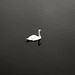 Jon Stark Photo 18