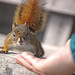 Linda Roden Photo 24