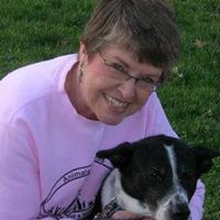 Joanne Vaughn Photo 11