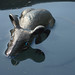 Jeff Jean Photo 18