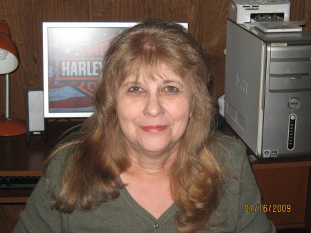 Sandra Booth Photo 17