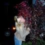 Kelly Rowley Photo 33