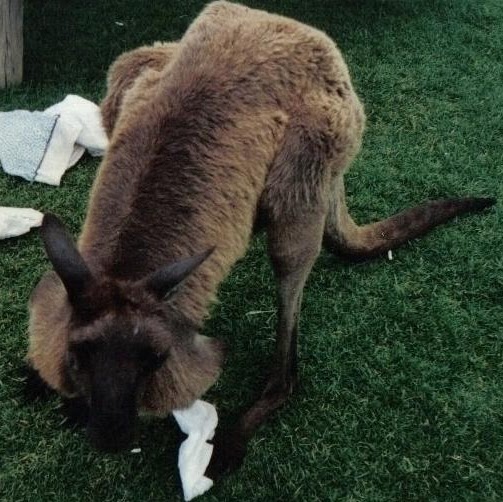 Shelley Jones Photo 27