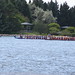 Laurie Mccune Photo 13