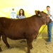 Lawrence Lamb Photo 17