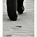 Rajiv Menon Photo 35