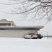 Reginald Reese Photo 17