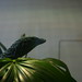 Tina Shedd Photo 19