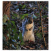 Anne Gray Photo 7