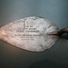 Daniel Beebe Photo 15
