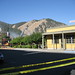 Connie Burns Photo 29