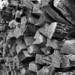 Theodore Stack Photo 1