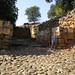 Dan Gates Photo 17