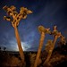 Joshua Black Photo 16