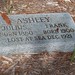 Ashley Franks Photo 25
